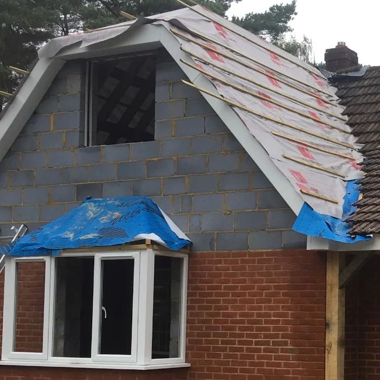 Roof extension with modern skylights
